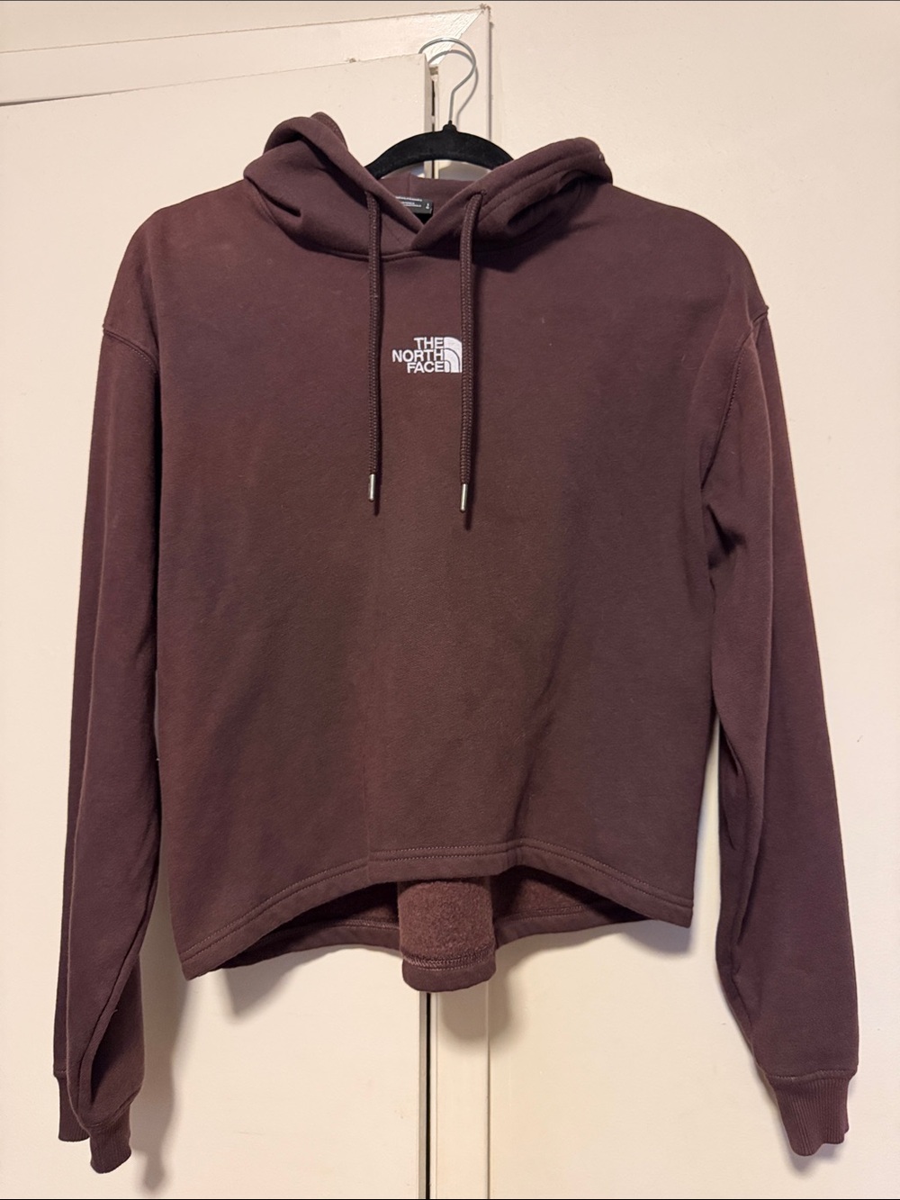 The North Face Hooded Pullover in Plum